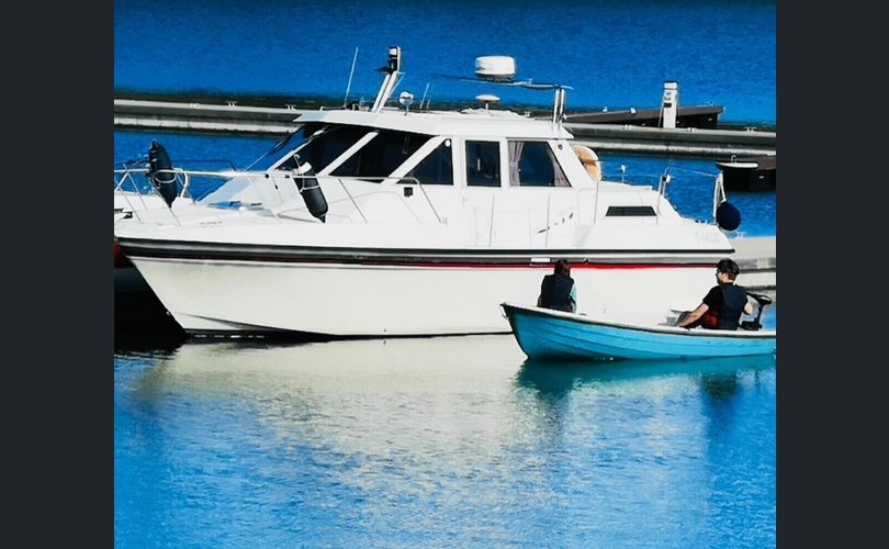 Sterna Muu malli-kuva-3